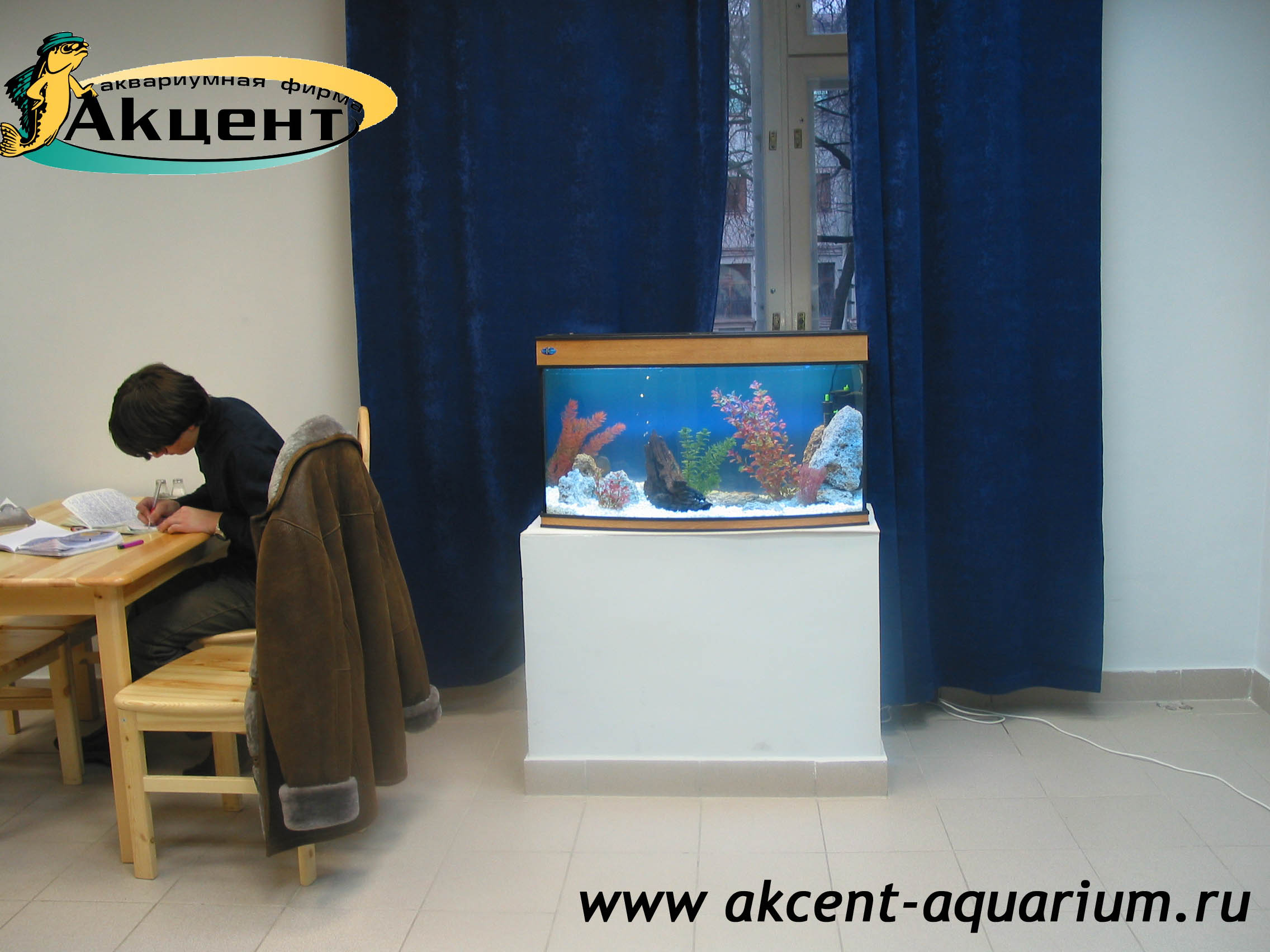 Акцент-аквариум, аквариум 160 литров, с гнутым передним стеклом